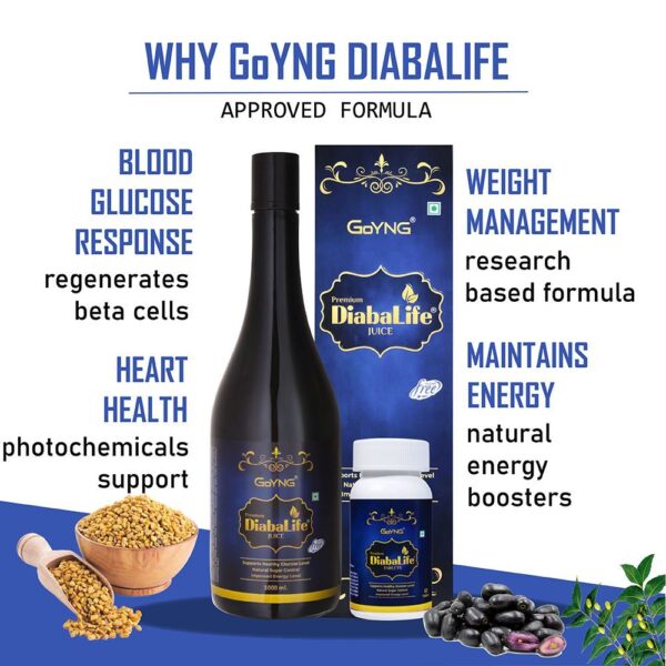GoYNG Diabalife - Image 6