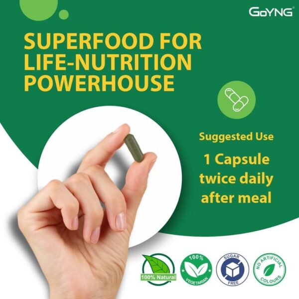 GoYNG Spirulina - Image 6