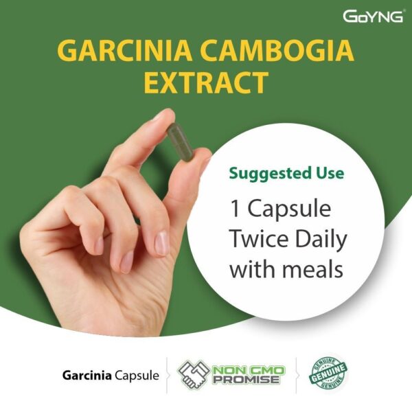 GoYNG Garcinia - Image 6
