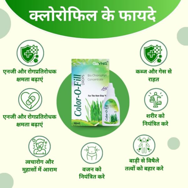 Color O Fill Supplements - Image 6