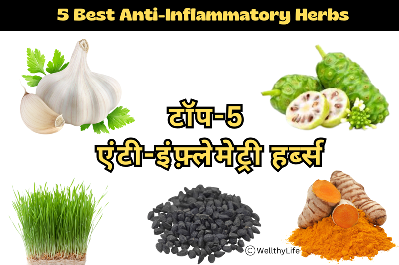 Read more about the article टॉप-5 एंटी-इंफ़्लेमेट्री हर्ब्स