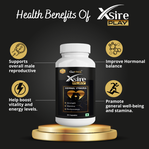 XSire Play - Image 4